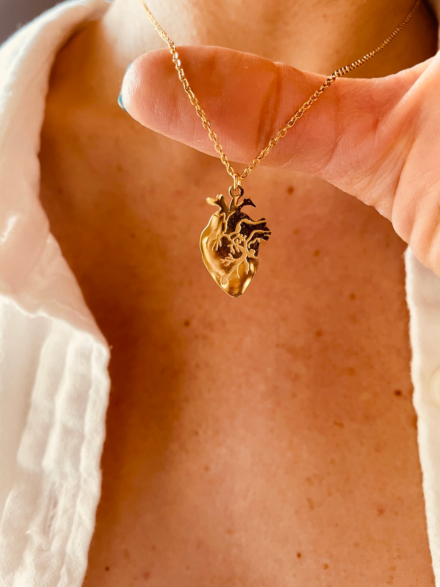 CUORE ANATOMICO