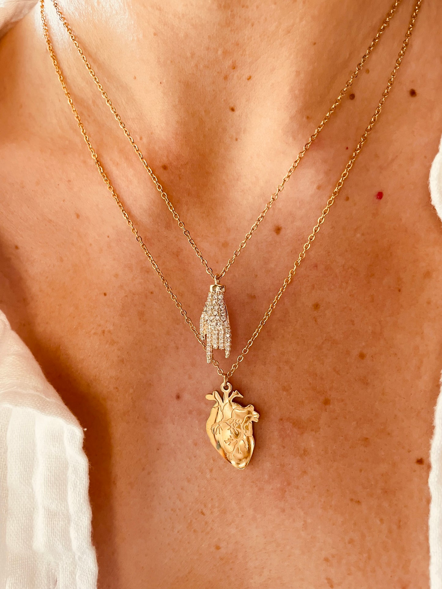CUORE ANATOMICO