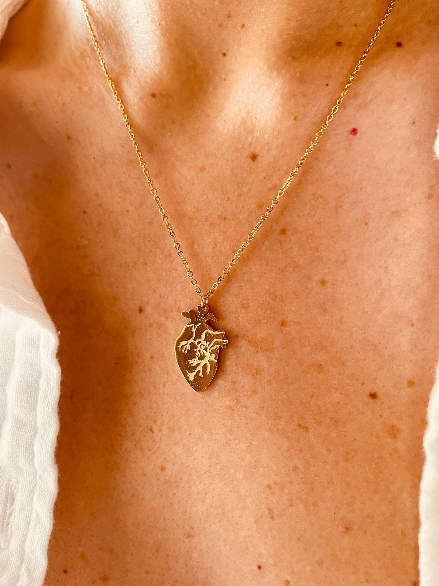 CUORE ANATOMICO